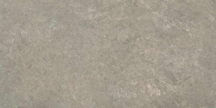 Arkistyle J206 - Fossil, Strutturato, 60x120cm, 20.00mm, Rectified