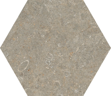 Arkistyle Esagona J159 - Fossil, Naturale, 25x21.6cm, 9.00mm, Rectified