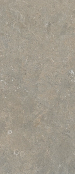 Arkistyle J154 - Fossil, Naturale, 120x278cm, 6.00mm, Rectified
