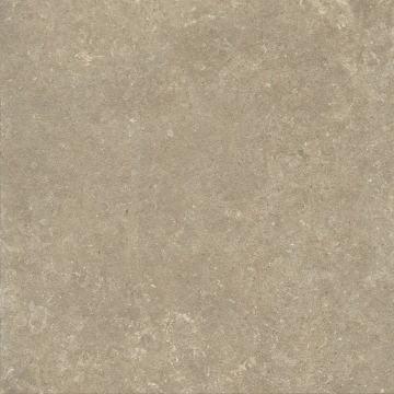 Arkistyle J220 - Earth, Naturale, 60x60cm, 9.00mm, Rectified