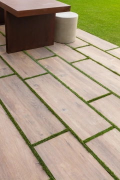 Ragno Woodsense
