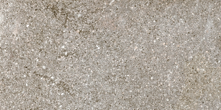 Stoneway_porfido R47V - Grey, Matt, 15x30cm, 9.00mm, not-rectified
