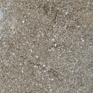 Stoneway_porfido R47R - Anthracite, Matt, 15x15cm, 9.00mm, not-rectified
