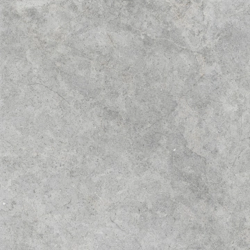 Richmond RALM - Silver, Matt, 100x100cm, 8.50mm, Rectified