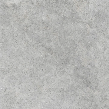 Richmond RCDU - Silver, Matt C2, 60x60cm, 8.50mm, Rectified