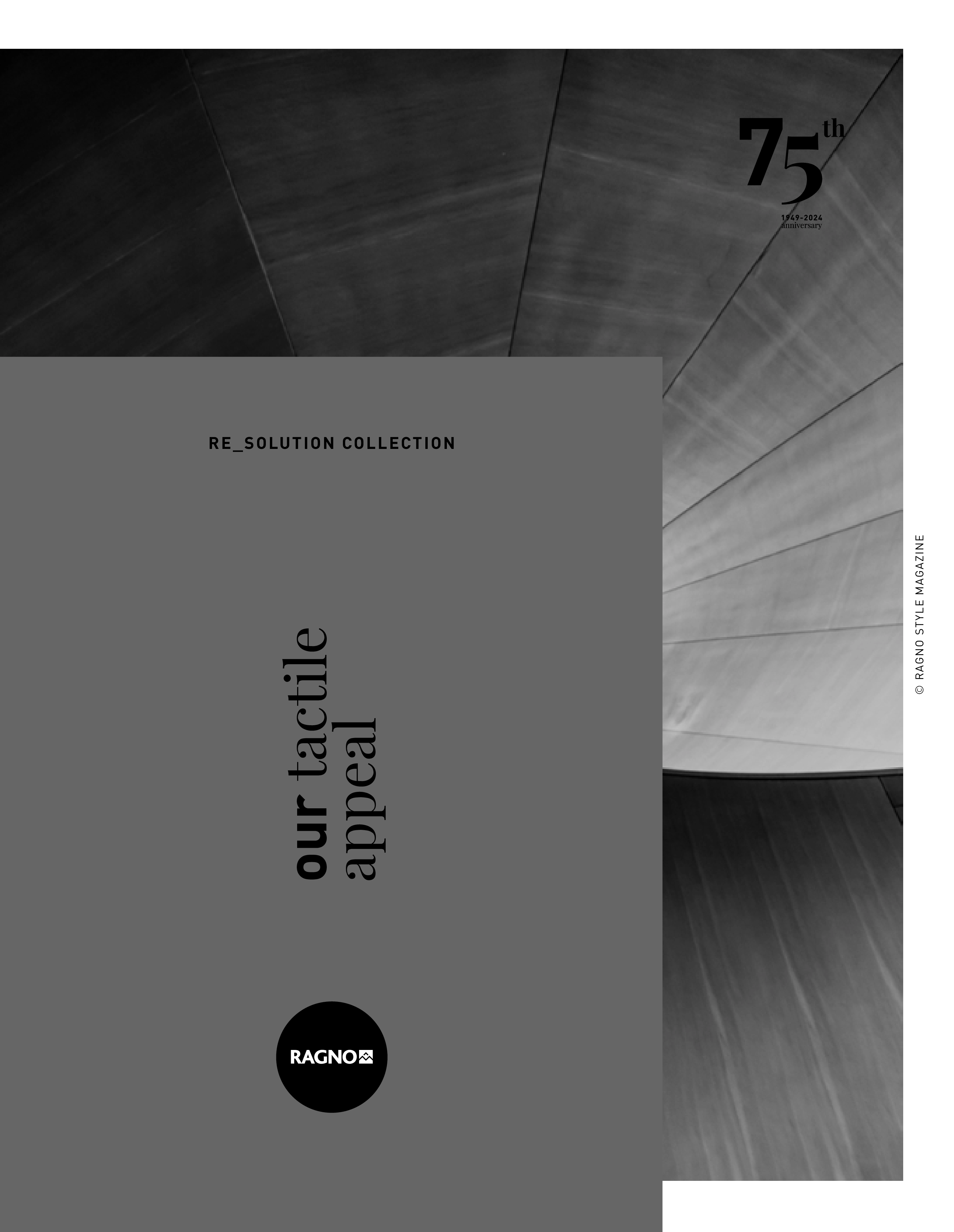Ragno_Re_Solution_Cat_2024