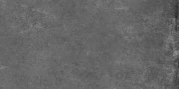 Gare Du Nord 303605 - Graphite, Naturale, 30x60cm, 9.50mm, Rectified