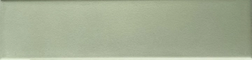 Dust 03E5060 - Sage, Soft, 5x20, Rectangular, 8.00, Not Rectified
