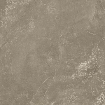 Harmony R941X60 - Taupe, Naturale, 100x100cm, 8.50mm, Rectified