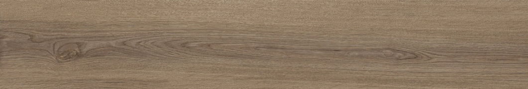 Bloom 41733 - Cognac, Antislip, 24x151cm, 9.00mm, Rectified