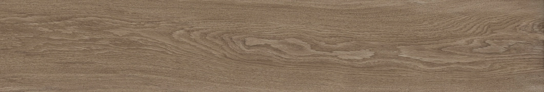Bloom 41729 - Cognac, Shaped, 24x151cm, 9.00mm, Rectified