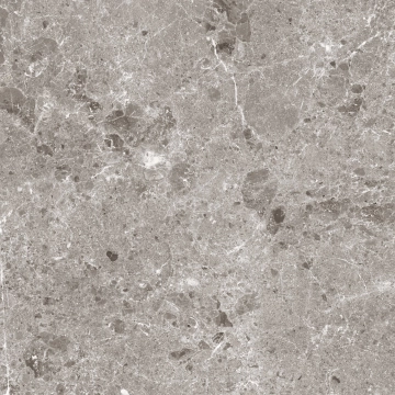 Artic 81RC36P - Gris, Pulido, 78x78cm, 10.00mm, Rett.