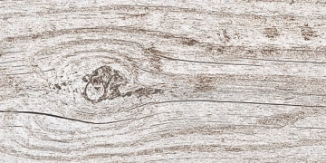Country Wood 10460262 - Bianco, Naturale, 60x120cm, 9.00mm, Rectified