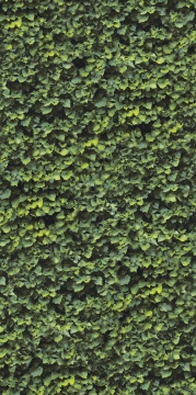 Limpha 11560423 - Arborea, Naturale, 120x240cm, 6.00mm, Rectified