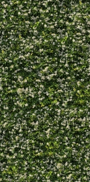 Limpha 11560524 - Gelsomino, Naturale, 120x240cm, 6.00mm, Rectified