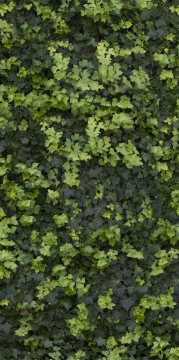Limpha 11560422 - Helix, Naturale, 120x240cm, 6.00mm, Rectified