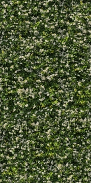 Limpha Gelsomino, Naturale, 120x240cm, 6.00mm, Rectified