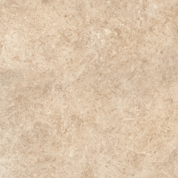 Racines J209 - Clair, Antislip, 60x60cm, 20.00mm, Rectified