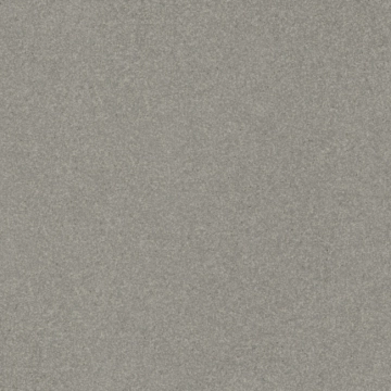 Standard Evolution E048 - Argent, Matt, 30x30cm, 7.60mm, not-rectified