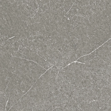 Livingstone Grigio, Naturale, 29.5x29.5cm, 8.50mm, Rectified