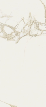 Cave T600124 - Forte, Lucido, 120x278cm, 6.00mm, Rectified
