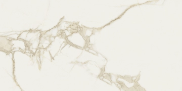 Cave T810395 - Forte, Lucido, 60x120cm, 6.00mm, Rectified