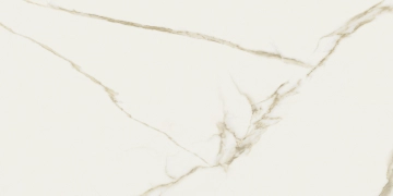 Cave 8600059 - Forte, Lucido, 60x120cm, 9.00mm, Rectified