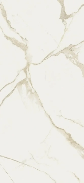 Cave T600131 - Forte F, Lucido, 120x278cm, 6.00mm, Rectified