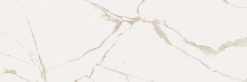 Cave T622568 - Forte C, Lucido, 90x270cm, 6.00mm, Rectified