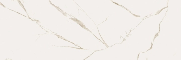 Cave T622550 - Forte E, Naturale, 90x270cm, 6.00mm, Rectified