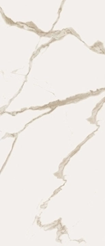 Cave T600130 - Forte B, Lucido, 120x278cm, 6.00mm, Rectified