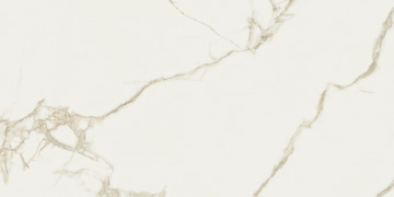 Cave 8680347 - Forte, Naturale, 90x180cm, 10.00mm, Rectified