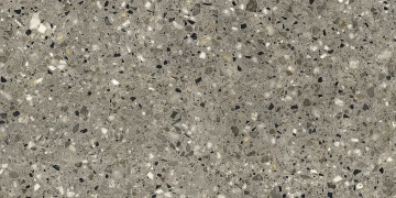 Frammenta 8658445 - Grigio, Naturale, 60x120cm, 9.00mm, Rectified