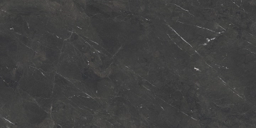 Royal 8600217 - Dark, Naturale, 60x120cm, 9.00mm, Rectified