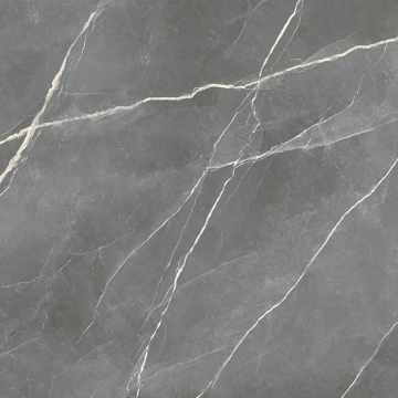 Royal T600181 - Grey, Naturale, 120x120cm, 6.00mm, Rectified