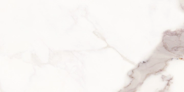 Royal 8600353 - White, Lucido, 30x60cm, 9.00mm, Rectified