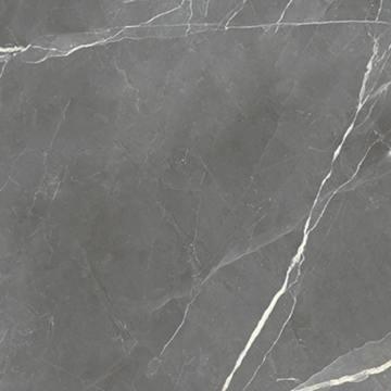 Royal 8600298 - Grey, Lucido, 60x60cm, 9.00mm, Rectified