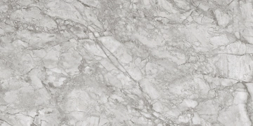 Royal T600232 - Silver, Lucido, 60x120cm, 6.00mm, Rectified