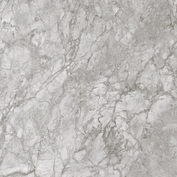 Royal T600183 - Silver, Naturale, 120x120cm, 6.00mm, Rectified