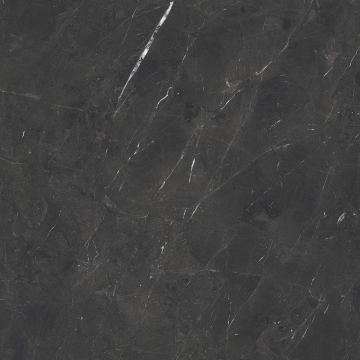 Royal T600207 - Dark, Smooth, 120x120cm, 6.00mm, Rectified