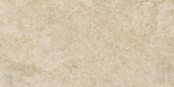 Royal 8600204 - Beige, Naturale, 60x120cm, 9.00mm, Rectified