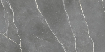 Royal T600237 - Grey, Smooth, 60x120cm, 6.00mm, Rectified