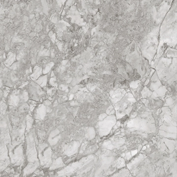 Royal 8600344 - Silver, Lucido, 60x60cm, 9.00mm, Rectified