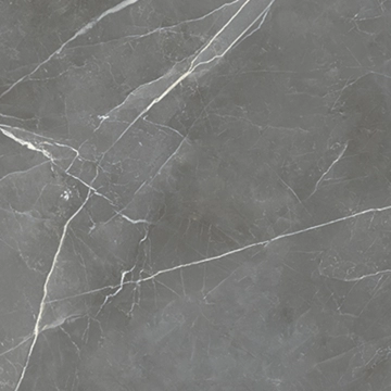 Royal 8600306 - Grey, Smooth, 60x60cm, 9.00mm, Rectified