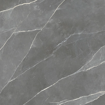 Royal T600199 - Grey, Smooth, 120x120cm, 6.00mm, Rectified