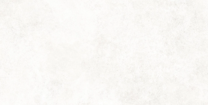 Rebel FM0869 - White, Natural, 60x120cm, 10.00mm, Rectified