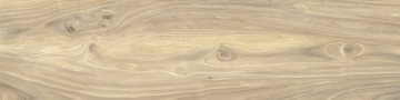 More 02XMR42R22 - Miele, Naturale, 40x120cm, 20.00mm, not-rectified