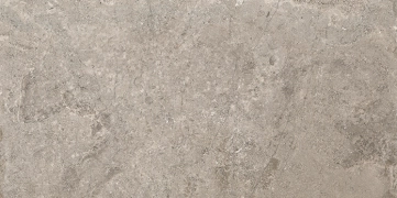 Lausanne LS42 - Brown, Natural, 59x118.2cm, 11.00mm, Rectified