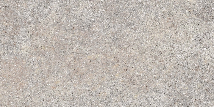 Native PF60004112 - Ash, Naturale, 30x60cm, 8.50mm, Rectified