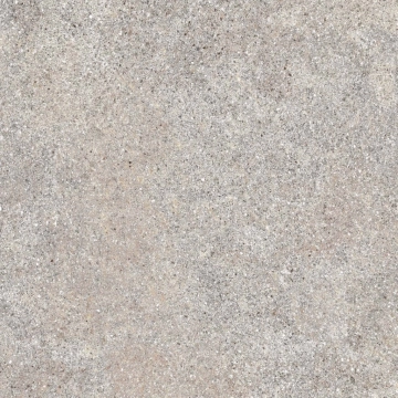 Native PF60004109 - Ash, Naturale, 60x60cm, 8.50mm, Rectified